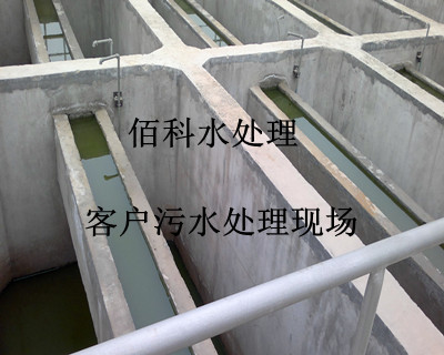 北京知名企业购买我厂七水硫酸亚铁处理钢铁厂污水